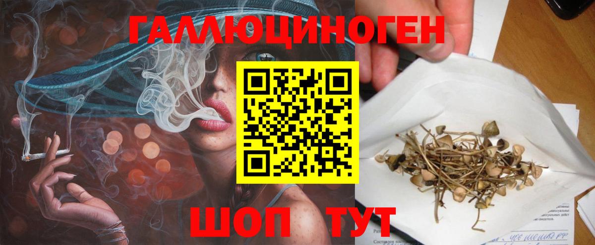 Галлюциногенные грибы ЛСД Котлас