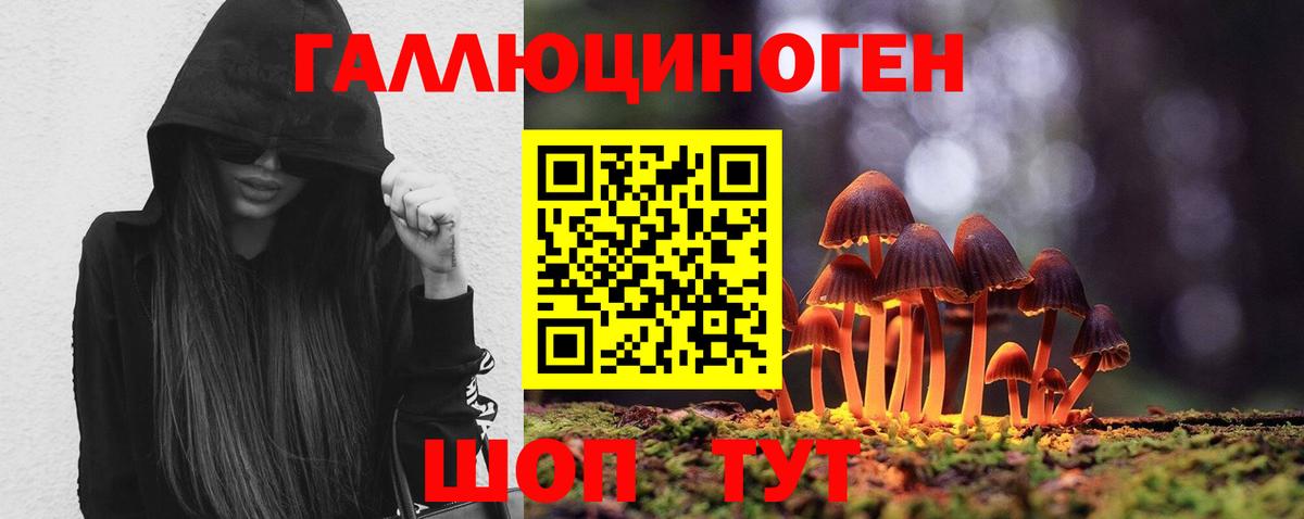 Галлюциногенные грибы мицелий  Вход с VPN  Псилоцибиновые грибы Magic Shrooms  Котлас 